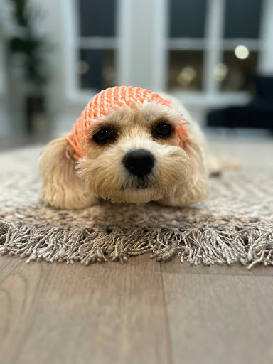 Gubee portrait 10